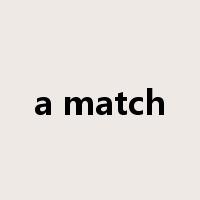 a match是什么意思