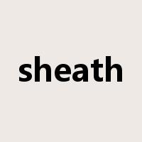 sheath是什么意思