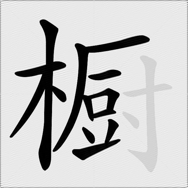 橱