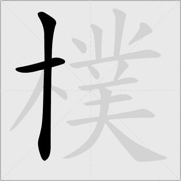 樸