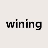 wining是什么意思