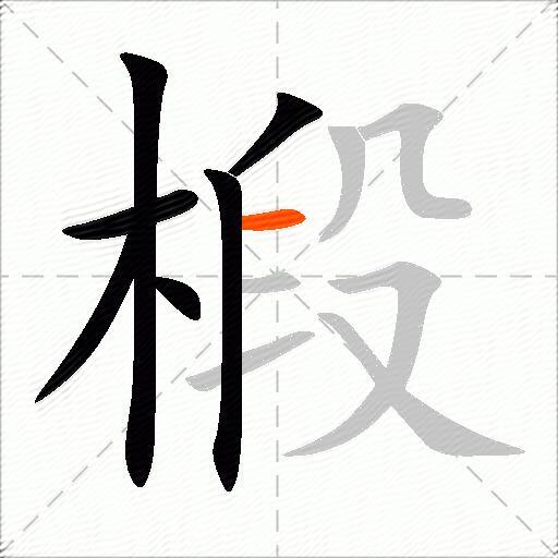 椴