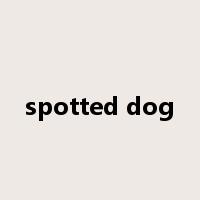 spotted dog是什么意思