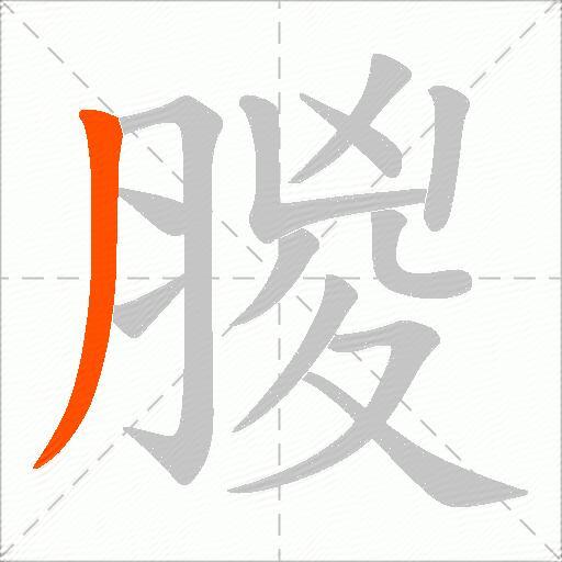 朡