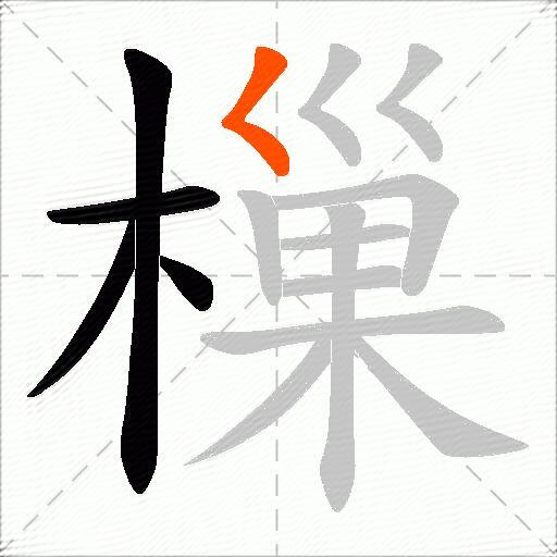 樔