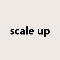 scale up是什么意思