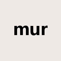 mur是什么意思