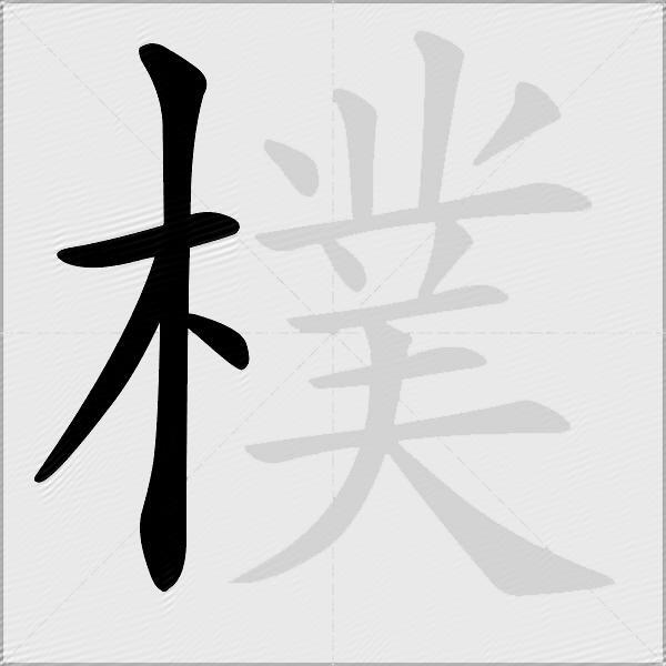 樸