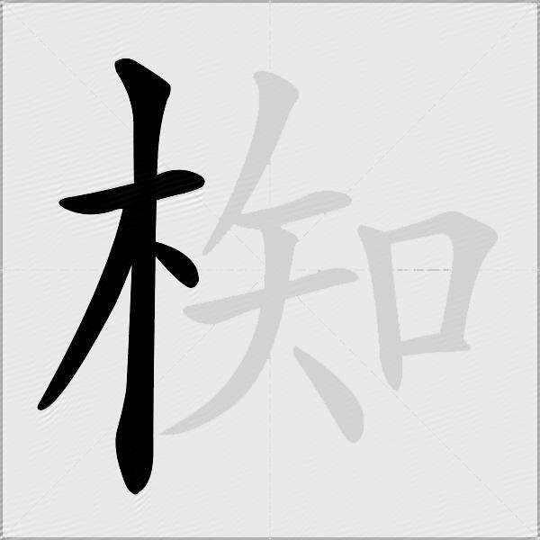 椥