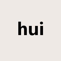 hui是什么意思