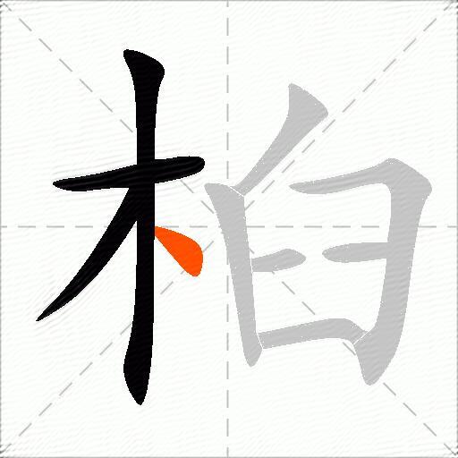 桕