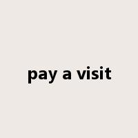 pay a visit是什么意思