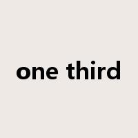 one third是什么意思