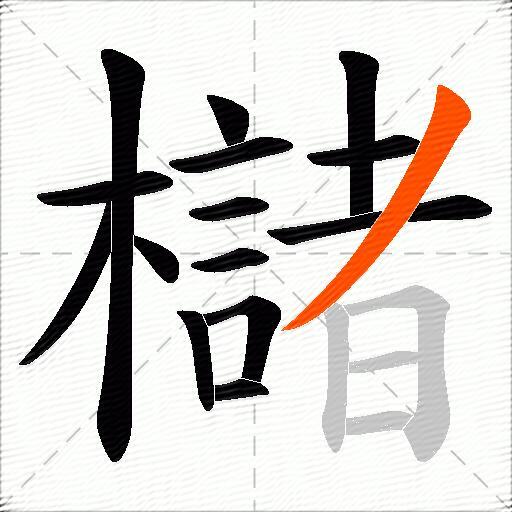 櫧
