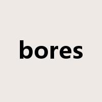 bores是什么意思