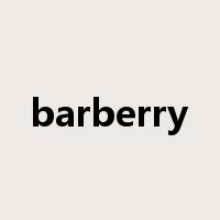 barberry是什么意思