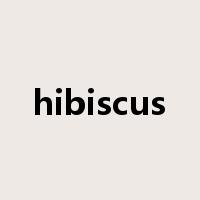 hibiscus是什么意思