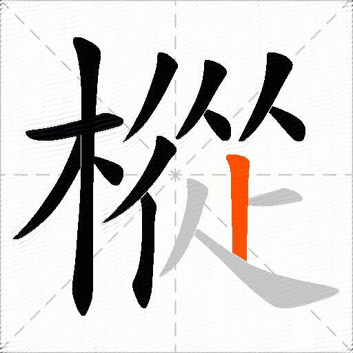樅
