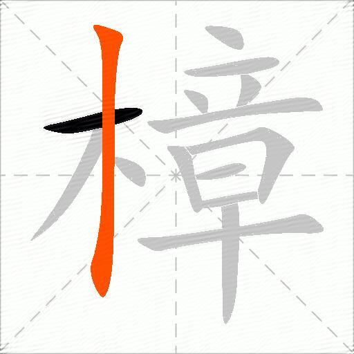 樟