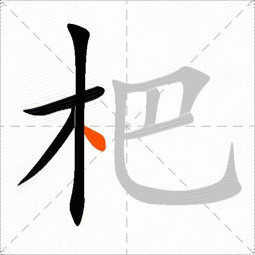 杷