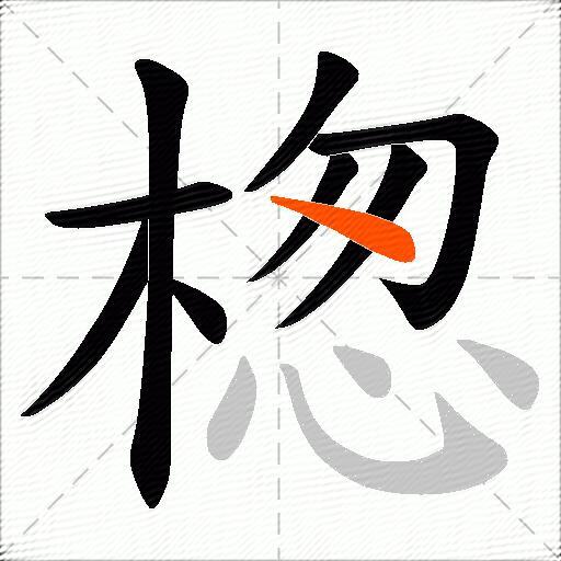 楤