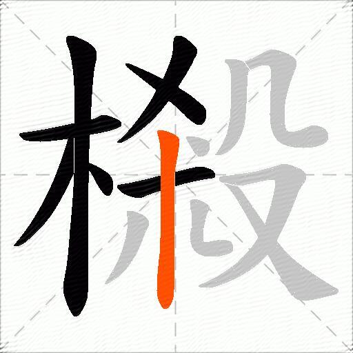 樧