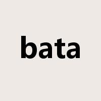bata是什么意思