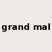 grand mal是什么意思