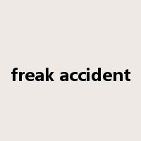 freak accident是什么意思