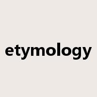 etymology是什么意思
