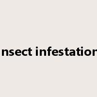 insect infestation是什么意思
