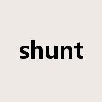 shunt是什么意思