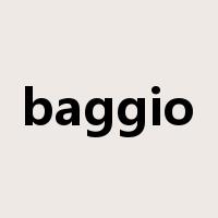 baggio是什么意思