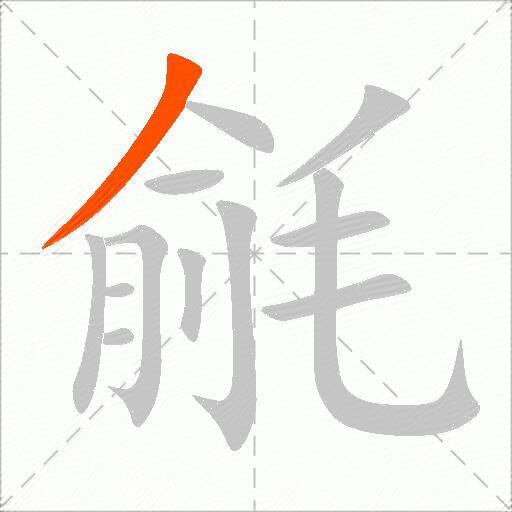 毹