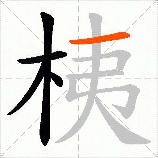 桋