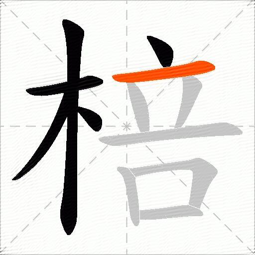 棓