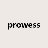 prowess是什么意思