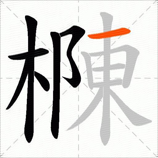 樄