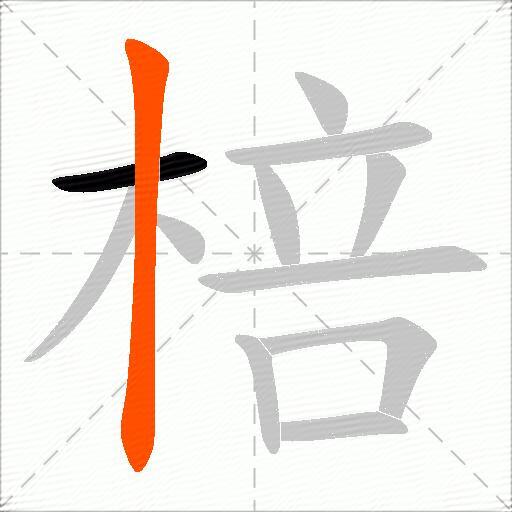 棓