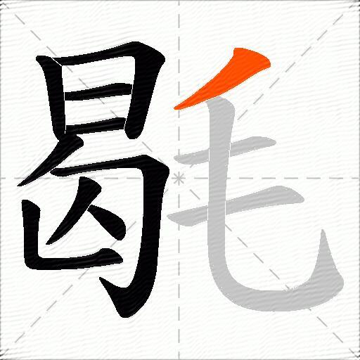 毼