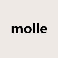 molle是什么意思