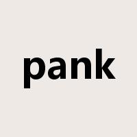 pank是什么意思