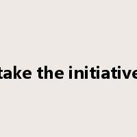 take the initiative是什么意思