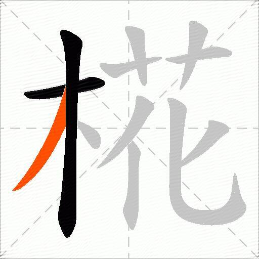 椛