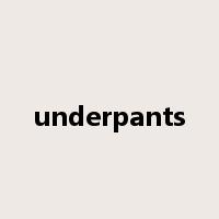 underpants是什么意思
