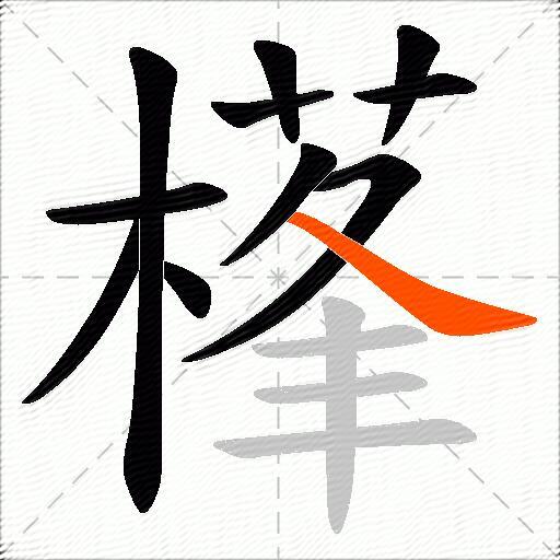 樥