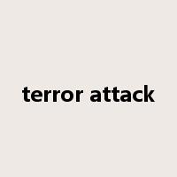 terror attack是什么意思