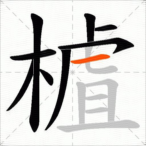樝