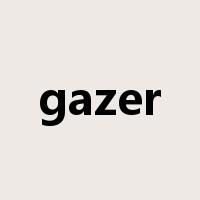 gazer是什么意思