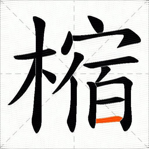 樎